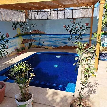 Villa Louise Guest House Luxor Ngoại thất bức ảnh