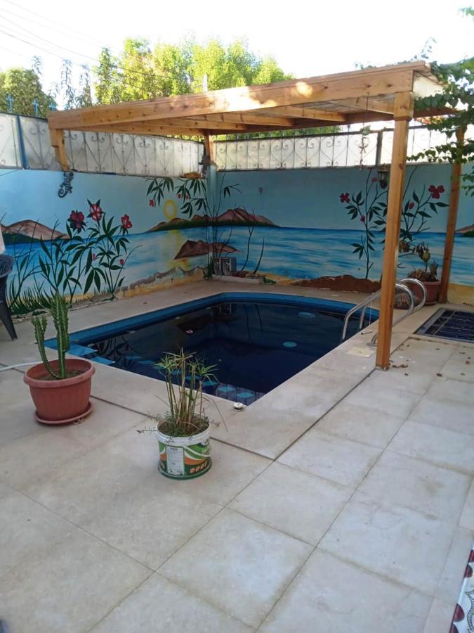 Villa Louise Guest House Luxor Ngoại thất bức ảnh