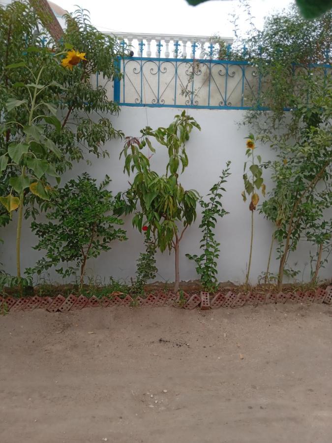 Villa Louise Guest House Luxor Ngoại thất bức ảnh
